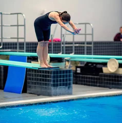 Diving ALTD Beginner1