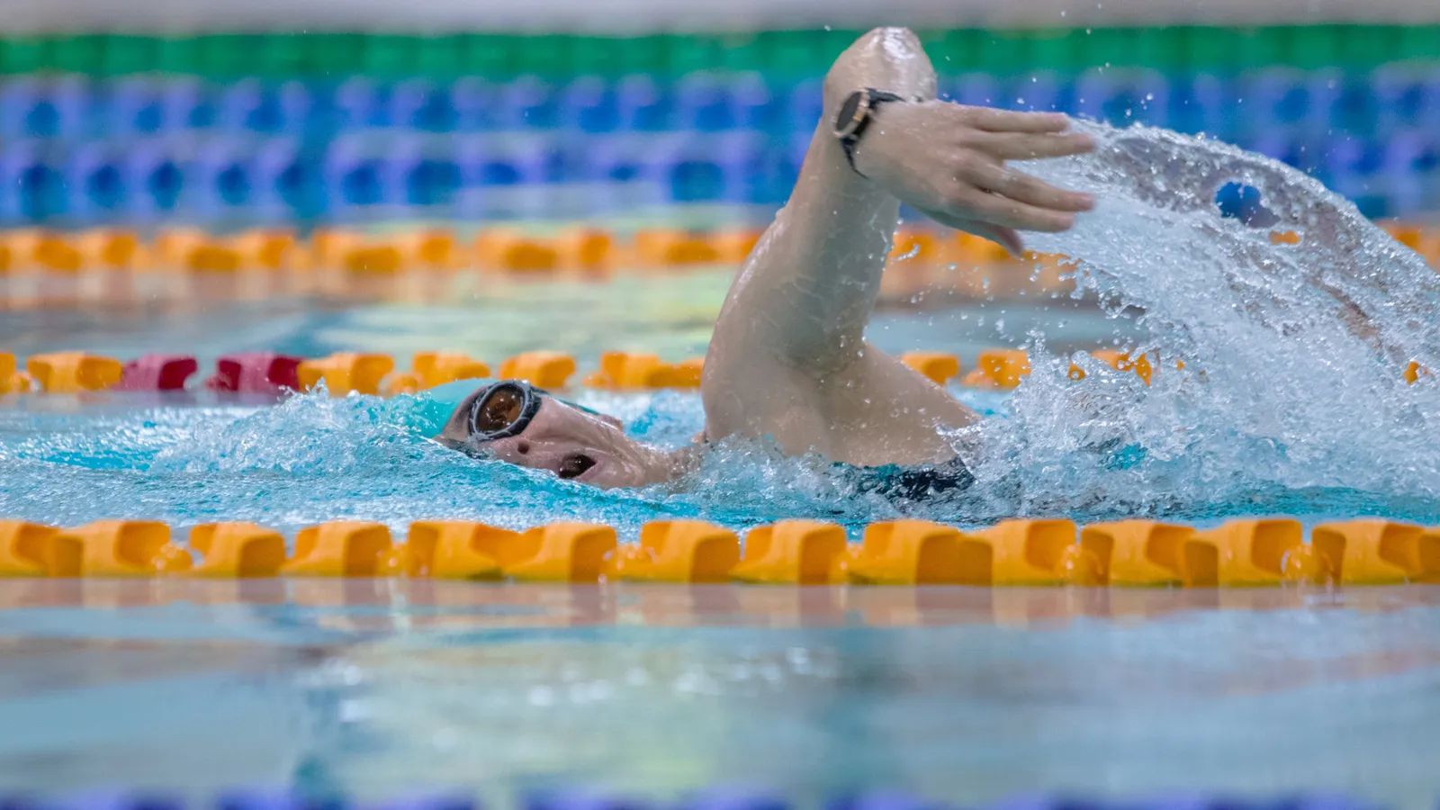 Swimming 50
