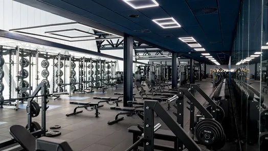 Gym Option 2